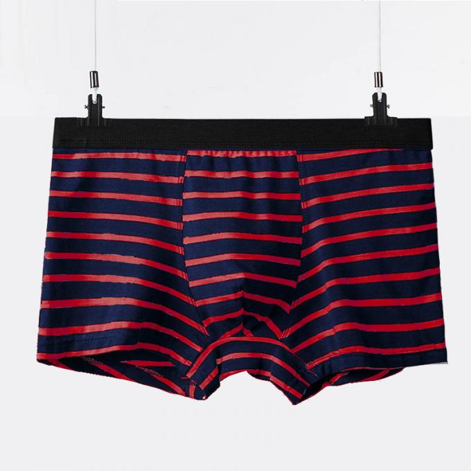 Los adultos puros atractivos de los escritos del algodón de la ropa interior de los hombres del algodón de XXXL 165kg 95kg rayan deportes 0