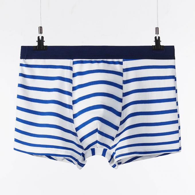 Los adultos puros atractivos de los escritos del algodón de la ropa interior de los hombres del algodón de XXXL 165kg 95kg rayan deportes 7