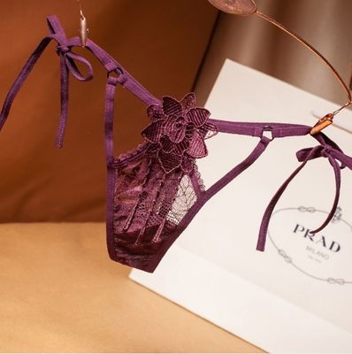 Las bragas atractivas de la mujer del bordado de las bragas de la ropa interior de las señoras de la tanga de la entrepierna