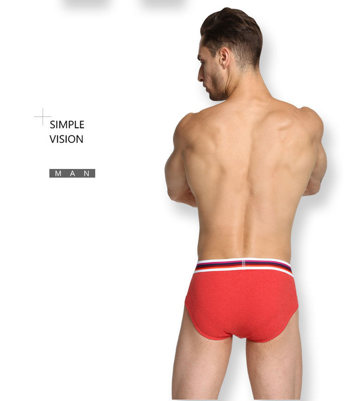 El boxeador atractivo para hombre peinado pone en cortocircuito la ropa interior pura del algodón de los hombres verdes del bikini