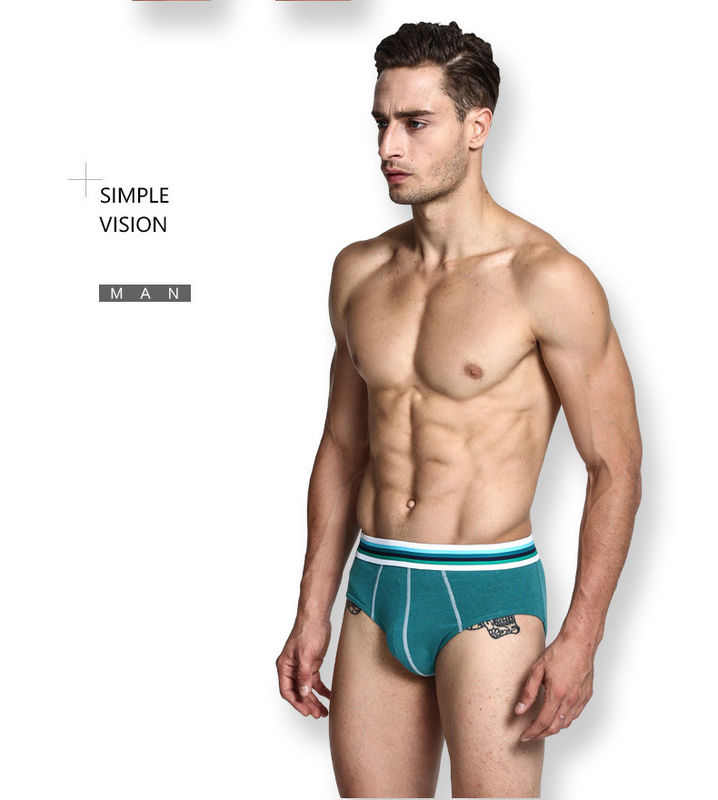 El boxeador atractivo para hombre peinado pone en cortocircuito la ropa interior pura del algodón de los hombres verdes del bikini